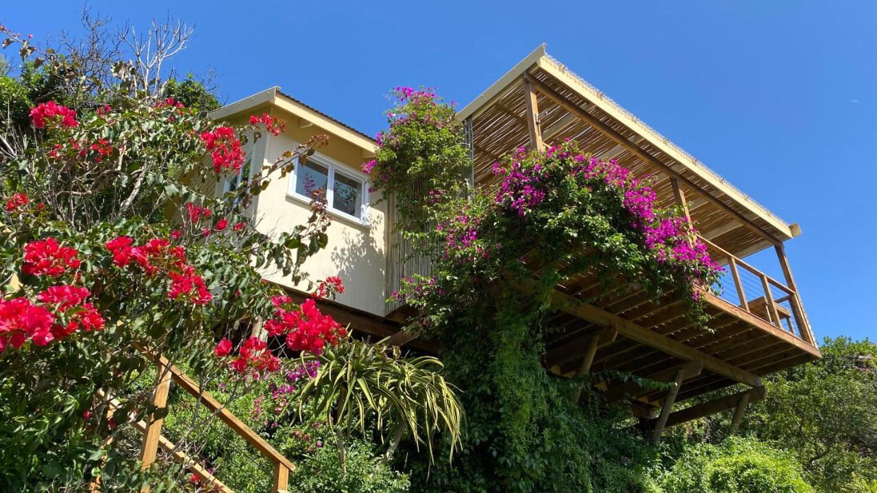 Justfor2 Villa Wildernis Kültér fotó